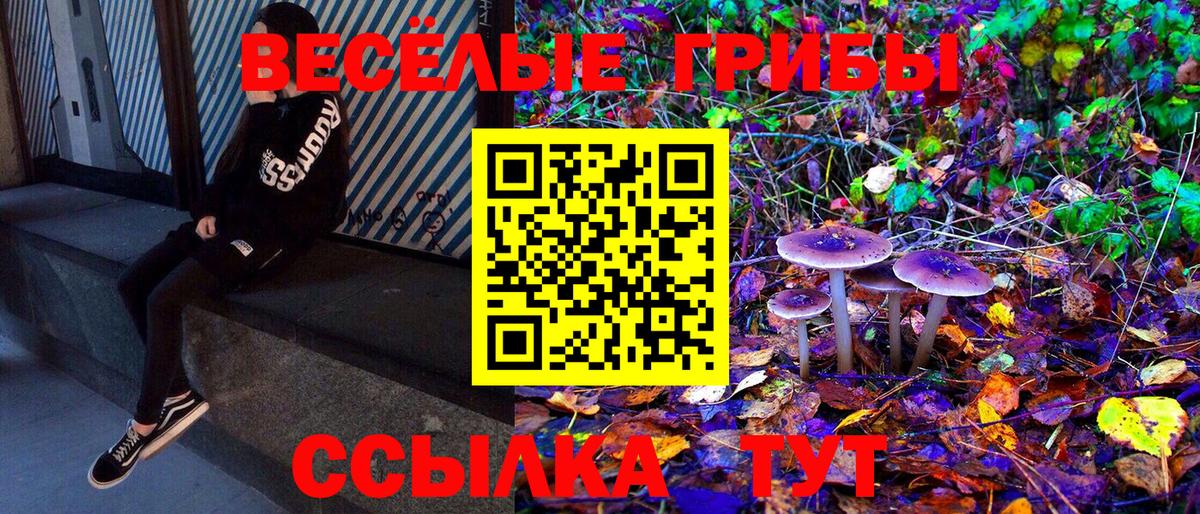 Псилоцибиновые грибы Cubensis  Галлюциногенные грибы Cubensis  Усть-Илимск  Вход с VPN 