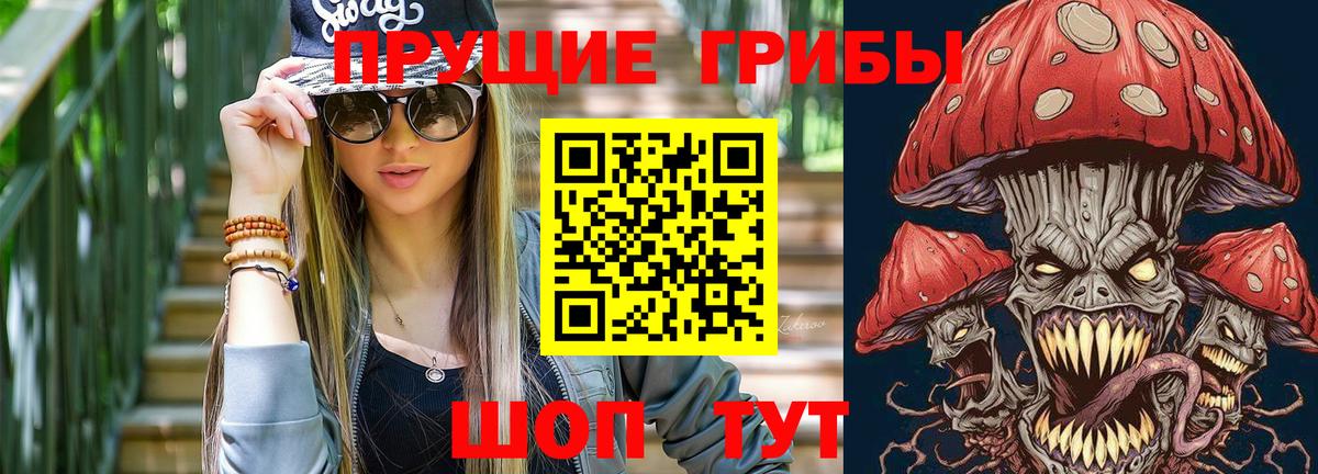 Псилоцибиновые грибы Psilocybe Усть-Илимск